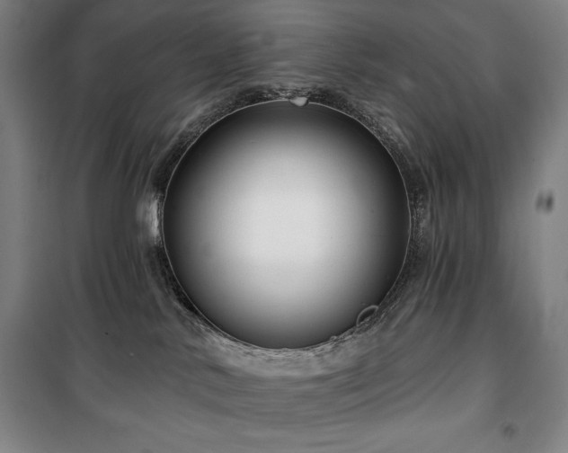 X0000100370042200806061205