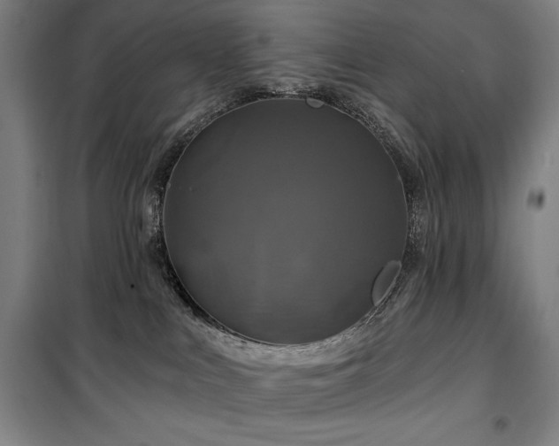 X0000100370043200806061205