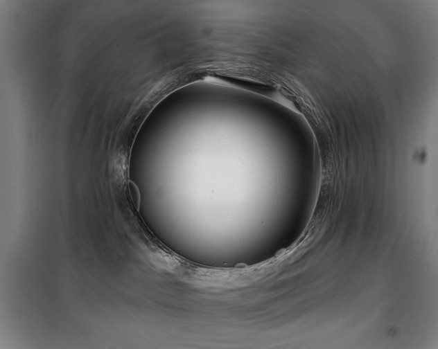 X0000100370045200806061205