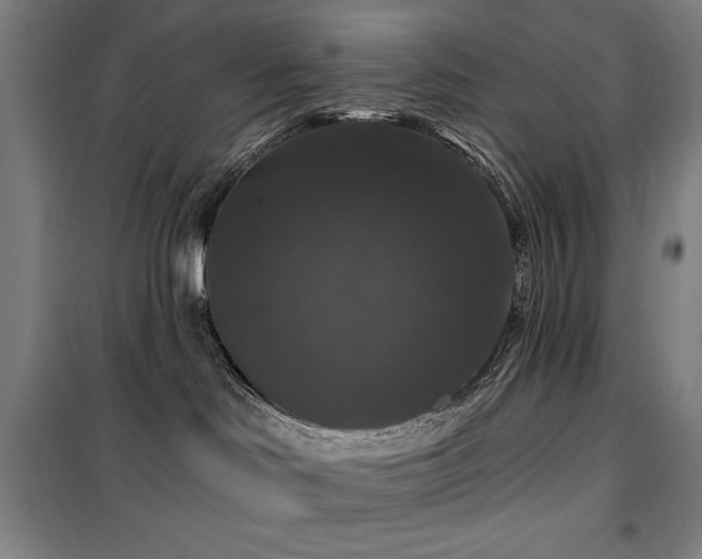 X0000100370046200806061205