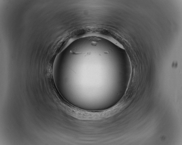 X0000100370048200806061205