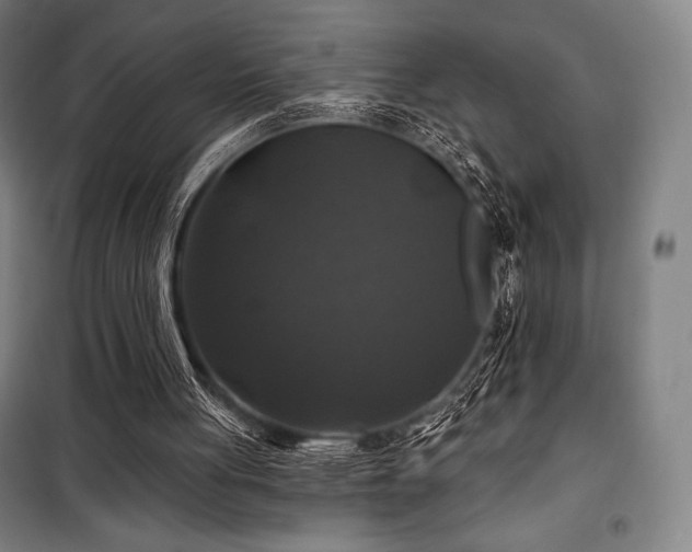 X0000100370051200806061204