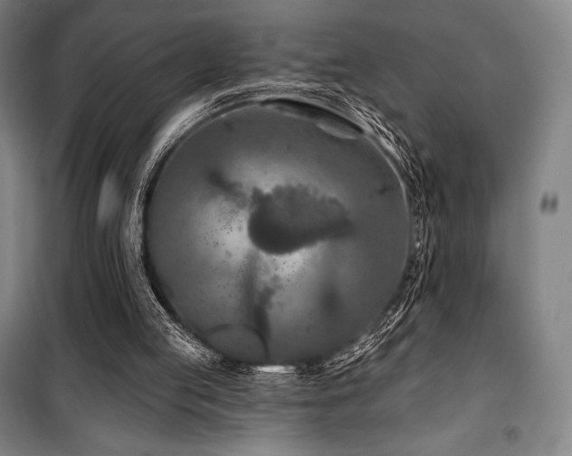 X0000100370053200806061204