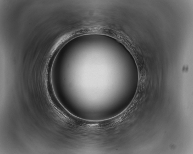 X0000100370054200806061204