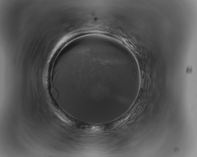 X0000100370056200806061205