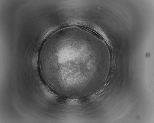 X0000100370058200806061205