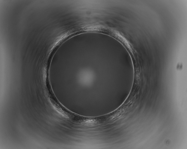 X0000100370059200806061205