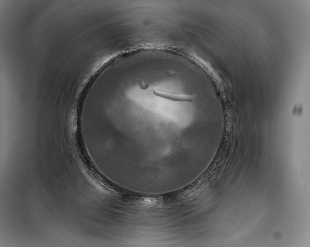 X0000100370060200806061205