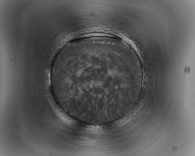 X0000100370061200806061205