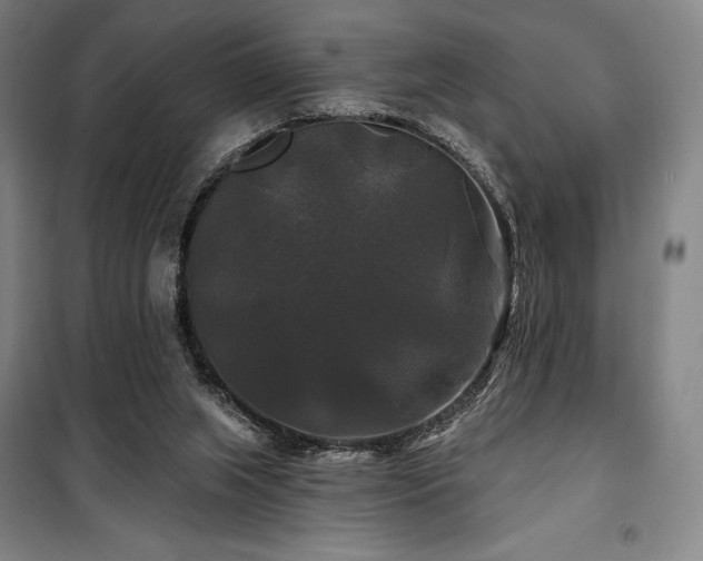 X0000100370063200806061205