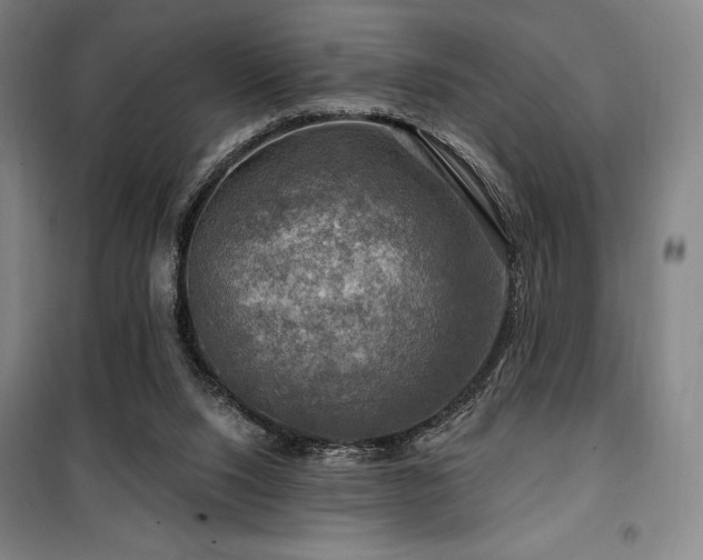 X0000100370064200806061205