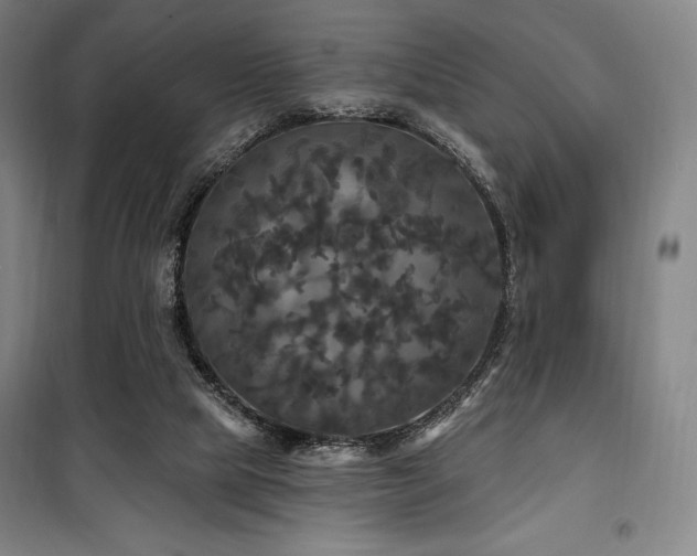 X0000100370065200806061205