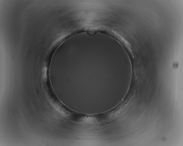 X0000100370067200806061205