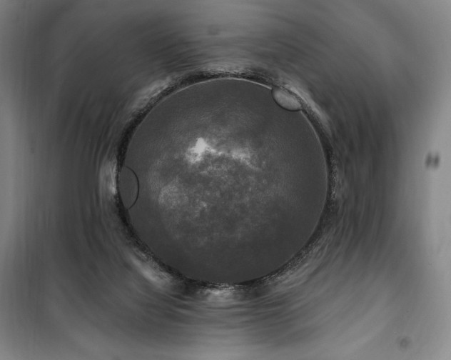 X0000100370068200806061205