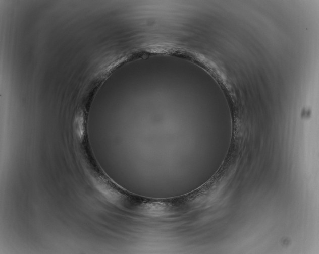 X0000100370069200806061205