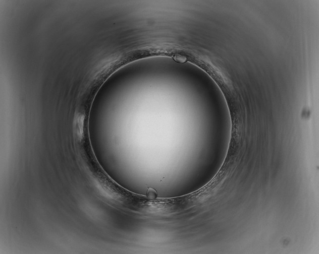 X0000100370070200806061205