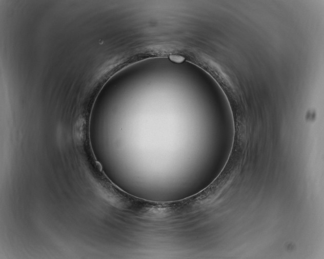 X0000100370071200806061205