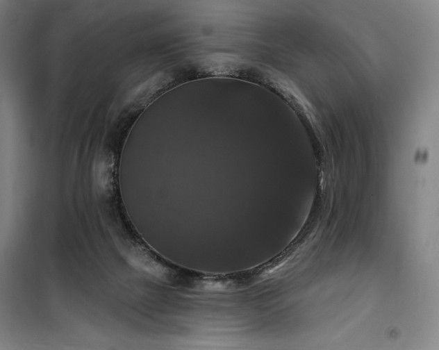 X0000100370073200806061205