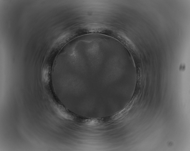 X0000100370074200806061205