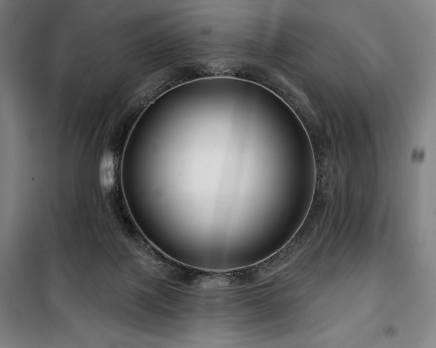 X0000100370075200806061205