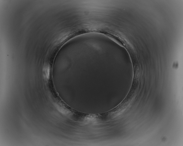 X0000100370076200806061205