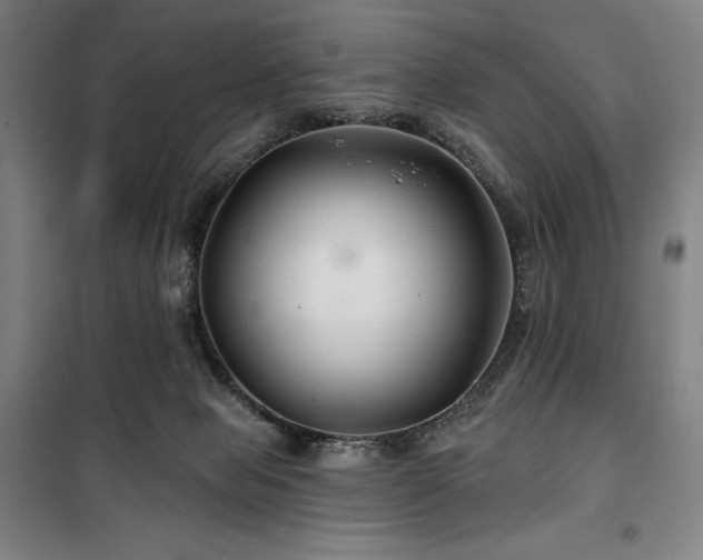 X0000100370077200806061205