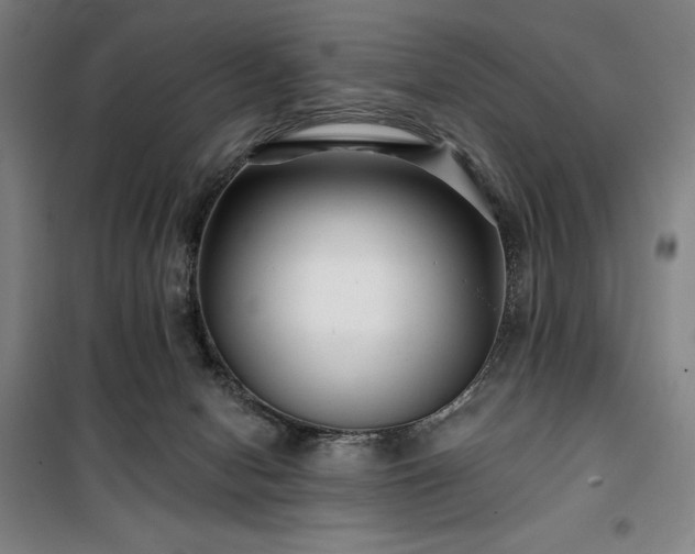 X0000100370078200806061205