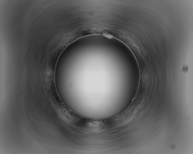 X0000100370079200806061205