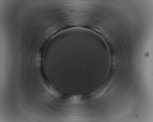 X0000100370080200806061205