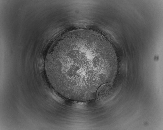 X0000100370081200806061205