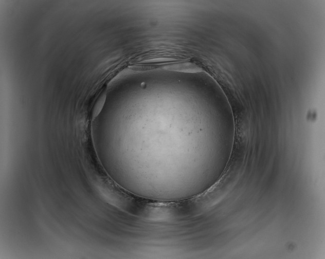 X0000100370082200806061205