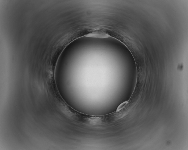 X0000100370085200806061205