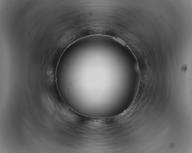 X0000100370086200806061205