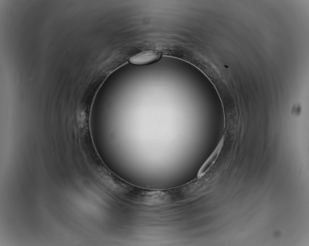 X0000100370087200806061205