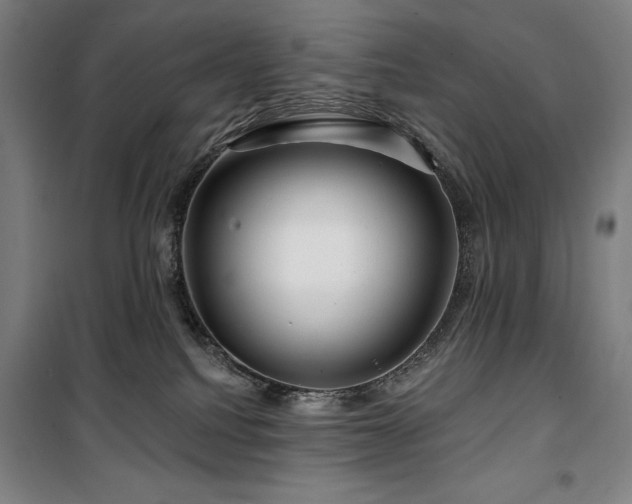 X0000100370088200806061205