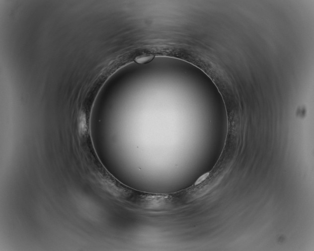 X0000100370089200806061205