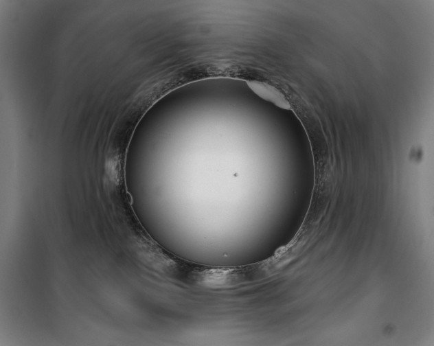 X0000100370090200806061205