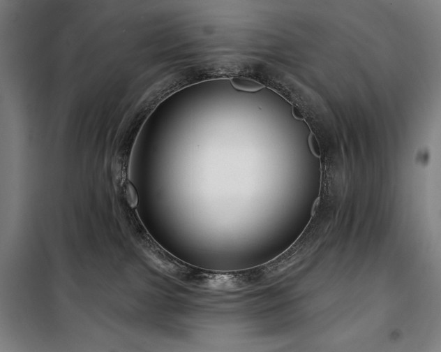 X0000100370091200806061205