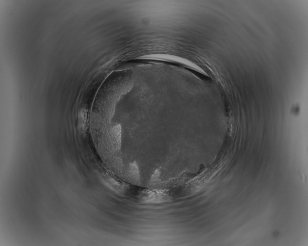 X0000100370093200806061205