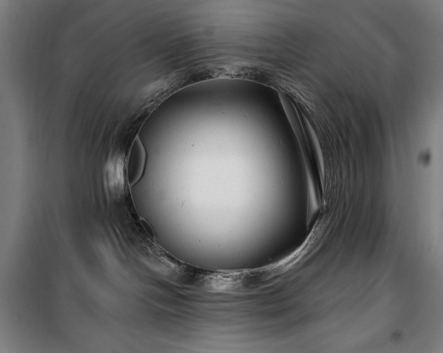 X0000100370094200806061205