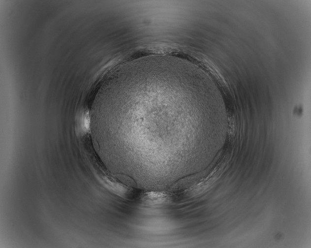 X0000100370095200806061205