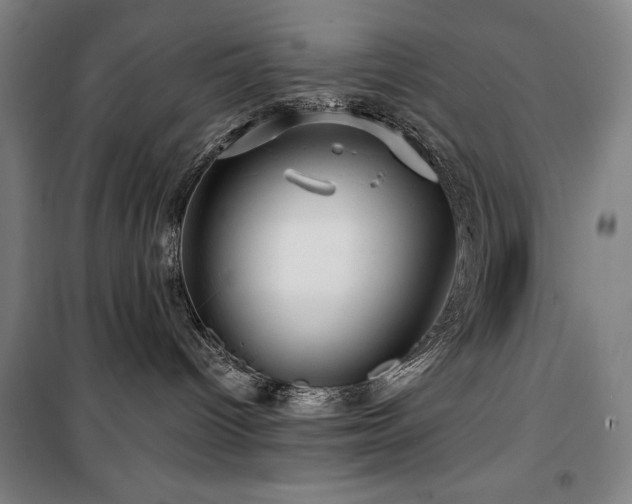 X0000100370096200806061205