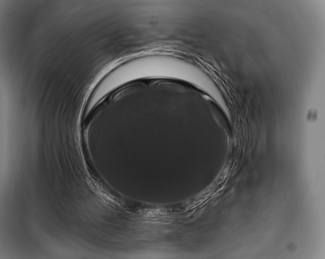 X0000100370100200806061204