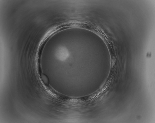 X0000100370101200806061204