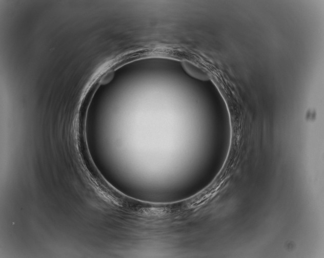 X0000100370102200806061204