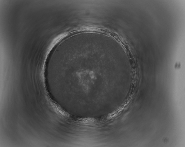 X0000100370104200806061204