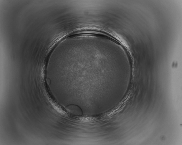 X0000100370105200806061204