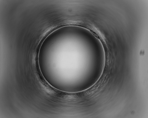 X0000100370107200806061204