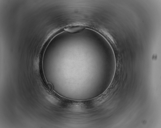 X0000100370108200806061204