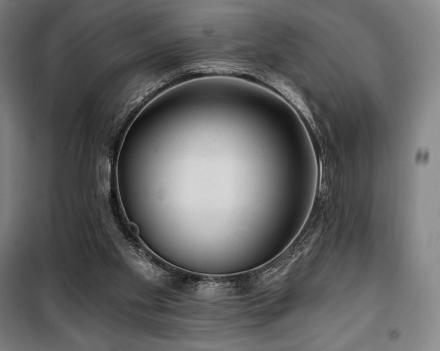 X0000100370109200806061204